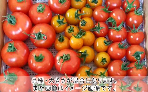 アイテムID:427074の画像6枚目