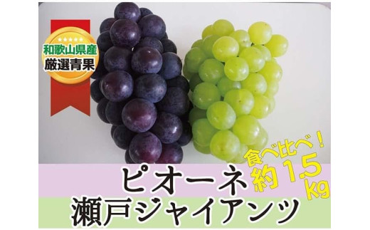 ピオーネ&瀬戸ジャイアンツ 約1.5kg ★食べ比べ★[2025年8月下旬〜2025年9月中旬頃順次発送]