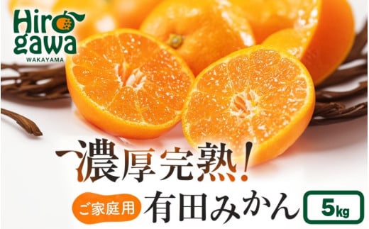 《先行予約》 有田育ちの ご家庭用 完熟 有田みかん 5kg+200g 農家直送 わけあり 訳あり ※12月上旬から下旬頃に順次発送予定 / 温州みかん みかん フルーツ 果物  柑橘 くだもの 人気 和歌山 【配送不可地域：北海道・離島・沖縄県】【ard004-c-5-12C】 2002833 - 和歌山県広川町