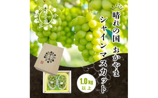 岡山県産 シャインマスカット 1kg以上（2～3房）＜2025年9月上旬～10月下旬発送＞ 2002992 - 岡山県岡山市