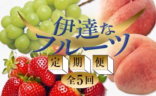 ＜2025年春から開始の定期便＞伊達なフルーツ定期便 （いちご・もも3種・ぶどう）果物 フルーツ 苺 イチゴ 桃 モモ 葡萄 ブドウ 福島県 伊達市 F20C-485