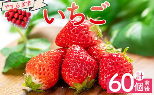 いちご 4パック 計60個程度 各パック 15～18個 いちご イチゴ 苺 ストロベリー 青果 果物 採れたて 新鮮 フルーツ あまえくぼ さちのか 紅ほっぺ べにほっぺ やすらぎ市 高知県 香南市 冷蔵 国産 パック 包装  yr-0054 2002608 - 高知県香南市