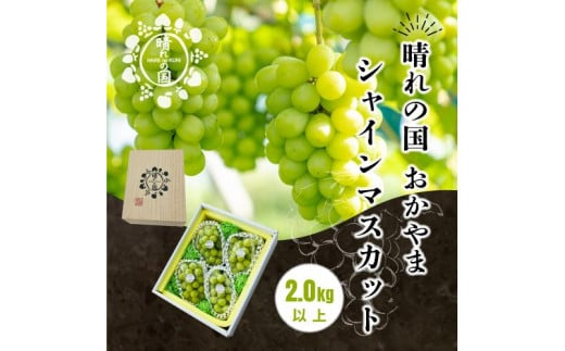 岡山県産 シャインマスカット 2kg以上（3～4房）＜2025年9月上旬～10月下旬発送＞ 2002994 - 岡山県岡山市