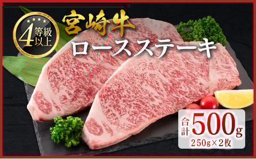 宮崎牛 ロースステーキ 計500g（250g×2枚）肉質等級4等級 国産 人気 おすすめ【C346-30】
