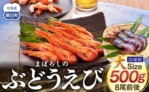 幻のぶどうえび（大・500g /8尾前後） エビ 海老 ブドウエビ 羅臼町 北海道 魚介類 魚介 海産物 冷凍 刺身 生産者 支援 応援