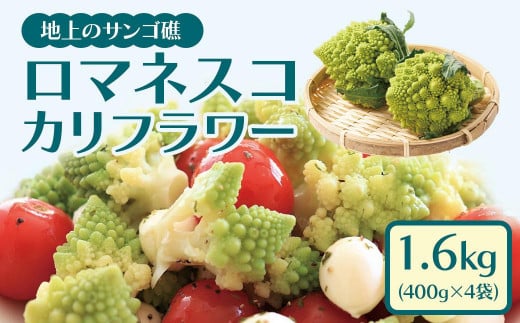 冷凍カットロマネスコカリフラワー 400g×4袋(1.6kg) 2002560 - 鹿児島県大崎町