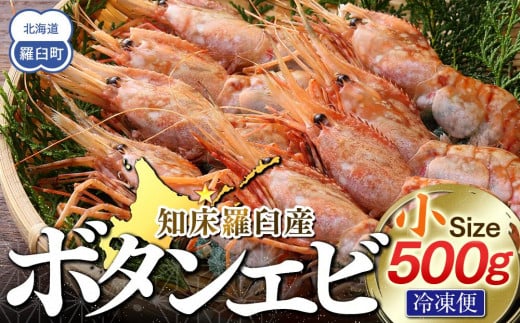 知床羅臼ボタンエビ(小) 500g 生産者 支援 応援 2002693 - 北海道羅臼町