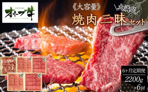 ≪6カ月定期便・大容量≫オリーブ牛焼肉三昧大満足セット 2200g×6回