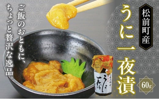 うに一夜漬け 60g MATK027 1486410 - 北海道松前町