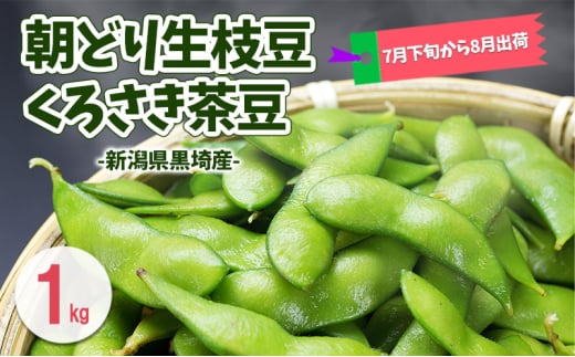 朝どり生枝豆 くろさき茶豆1kg 新潟県黒埼産 新潟市 枝豆 えだまめ えだ豆 茶豆 2003523 - 新潟県新潟市