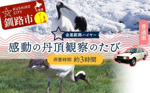 感動の丹頂観察のたび (普通車） 釧路湿原 釧路市 旅行 トラベル 空港 市内観光 観光 F4F-7967