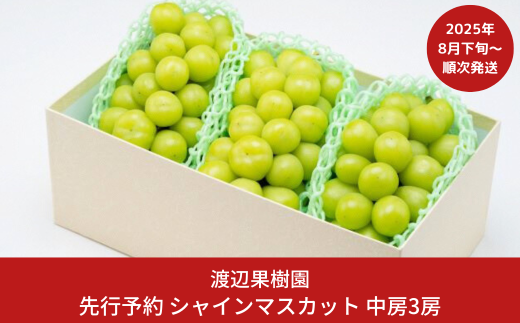 先行予約 中房シャインマスカット3房 (約1.6kg) [8月下旬から発送予定] 令和7年度 贈答用 シャインマスカット 新潟県 三条市産 ぶどう [渡辺果樹園] 【026S044】