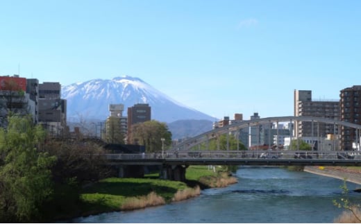 盛岡旅チケット　わんこそば体験とディープな盛岡まち歩きガイドツアー（1名様/日帰り）