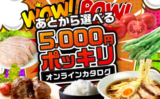 ＼5000円ポッキリ~！／ 飛騨市オンラインカタログ 5千円 有効期限なし 後から選べる ポッキリ カタログ 米 スイーツ  焼肉 惣菜 ラーメン 特産品 グルメ あとから ポッキリ 無期限 あとから選べる 5000円 5千円