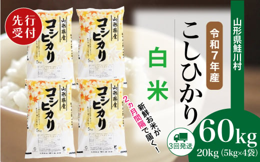 ＜令和7年産米先行受付＞ 鮭川村 コシヒカリ 【白米】 定期便 60kg （20kg×２ヶ月間隔で3回お届け）＜配送時期選べます＞ 2003976 - 山形県鮭川村