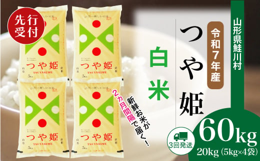 ＜令和7年産米先行受付＞ 鮭川村 特別栽培米 つや姫 【白米】 定期便 60kg （20kg×２ヶ月間隔で3回お届け）＜配送時期選べます＞ 2003999 - 山形県鮭川村