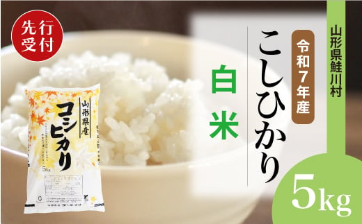 ＜令和7年産米先行受付＞ 鮭川村 コシヒカリ 【白米】 5kg （5kg×1袋）＜配送時期選べます＞ 2003956 - 山形県鮭川村