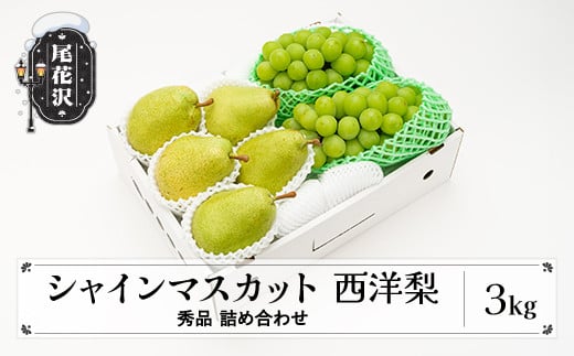 先行予約 シャインマスカット 西洋梨 秀品 詰め合わせ 3kg 2025年産 令和7年産 山形県産 送料無料 ぶどう 梨 洋梨 果物 フルーツ セット アソート ※沖縄・離島への配送不可 ns-fssyx3 1996142 - 山形県尾花沢市