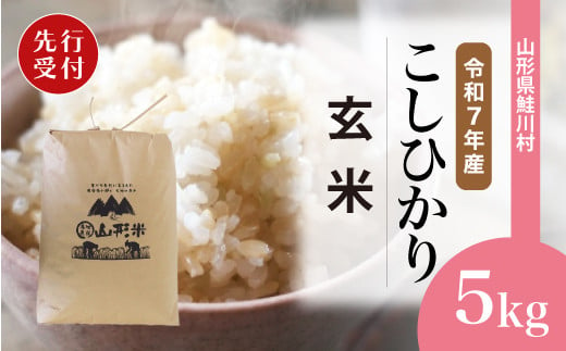 ＜令和7年産米先行受付＞ 鮭川村 コシヒカリ 【玄米】 5kg （5kg×1袋）＜配送時期選べます＞ 2003955 - 山形県鮭川村