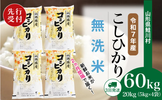 ＜令和7年産米先行受付＞ 鮭川村 コシヒカリ 【無洗米】 定期便 60kg （20kg×2ヶ月間隔で3回お届け）＜配送時期選べます＞ 2003977 - 山形県鮭川村