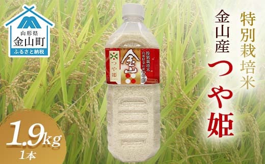 《令和7年産 先行予約》金山産米「つや姫1.9kg」（ペットボトル入り）×1本 米 お米 白米 ご飯 精米 ブランド米 つや姫 送料無料 東北 山形 金山町 F4B-0582 2004824 - 山形県金山町