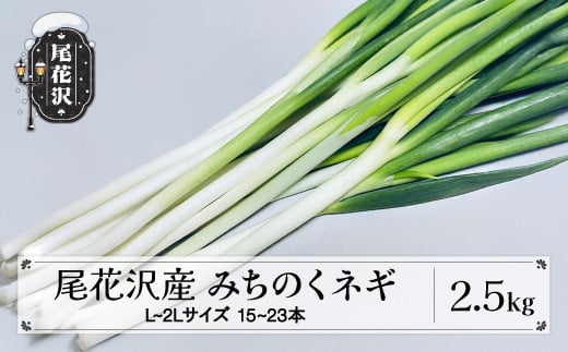 尾花沢産 みちのくネギ 2.5kg L~2Lサイズ 15~23本 ネギ ねぎ 葱 野菜 農家直送 送料無料 kb-vgnxx25 294669 - 山形県尾花沢市