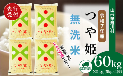 ＜令和7年産米先行受付＞ 鮭川村 特別栽培米 つや姫 【無洗米】 定期便 60kg （20kg×2ヶ月間隔で3回お届け）＜配送時期選べます＞ 2004000 - 山形県鮭川村