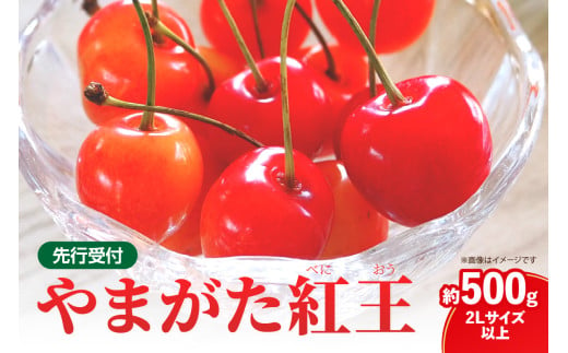  《先行受付》さくらんぼ 山形紅王（やまがたべにおう）約500g (2Lサイズ以上) 【2025年6月中旬～順次発送予定】【022-012】