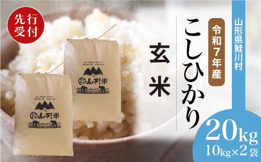 ＜令和7年産米先行受付＞ 鮭川村 コシヒカリ 【玄米】 20kg （10kg×2袋）＜配送時期選べます＞ 2003964 - 山形県鮭川村