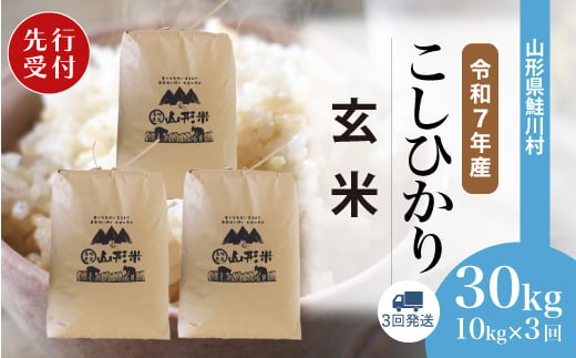 ＜令和7年産米先行受付＞ 鮭川村 コシヒカリ 【玄米】 30kg定期便 （10kg×3回発送）＜配送時期選べます＞ 2003969 - 山形県鮭川村