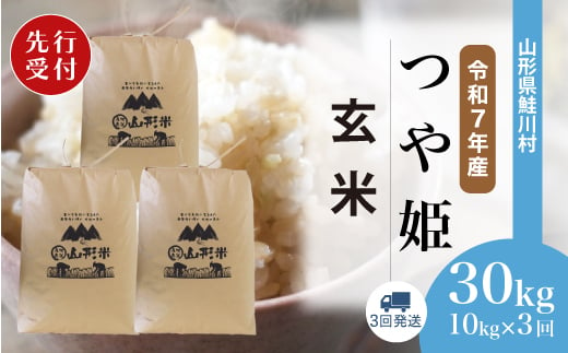 ＜令和7年産米先行受付＞ 鮭川村 特別栽培米 つや姫 【玄米】 30kg定期便 （10kg×3回発送）＜配送時期選べます＞ 2003992 - 山形県鮭川村