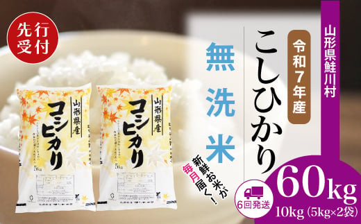 ＜令和7年産米先行受付＞ 鮭川村 コシヒカリ 【無洗米】 定期便 60kg （10kg×1ヶ月間隔で6回お届け）＜配送時期選べます＞ 2003975 - 山形県鮭川村