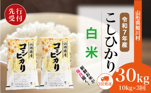 ＜令和7年産米先行受付＞ 鮭川村 コシヒカリ 【白米】 定期便 30kg （10kg×1ヶ月間隔で3回お届け）＜配送時期選べます＞ 2003970 - 山形県鮭川村