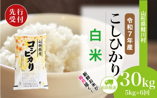 ＜令和7年産米先行受付＞ 鮭川村 コシヒカリ 【白米】 定期便 30kg （5kg×1ヶ月間隔で6回お届け）＜配送時期選べます＞ 2003967 - 山形県鮭川村