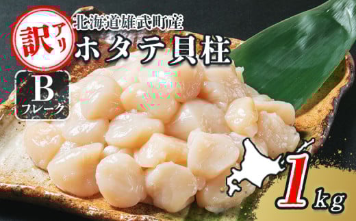 北海道雄武町産　ほたて貝柱(冷凍)Bフレーク 1kg[訳あり品]【12356】 902087 - 北海道雄武町
