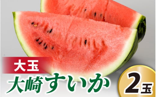 <2025年収穫分 先行予約>大崎すいか 1箱 715378 - 石川県かほく市