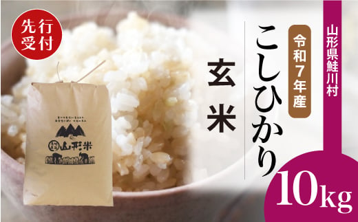 ＜令和7年産米先行受付＞ 鮭川村 コシヒカリ 【玄米】 10kg （10kg×1袋）＜配送時期選べます＞ 2003958 - 山形県鮭川村