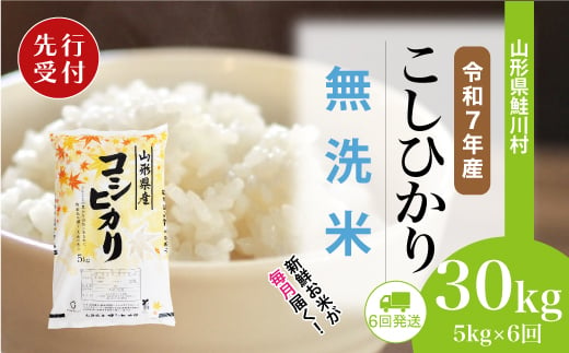 ＜令和7年産米先行受付＞ 鮭川村 コシヒカリ 【無洗米】 定期便 30kg （5kg×1ヶ月間隔で6回お届け）＜配送時期選べます＞ 2003968 - 山形県鮭川村