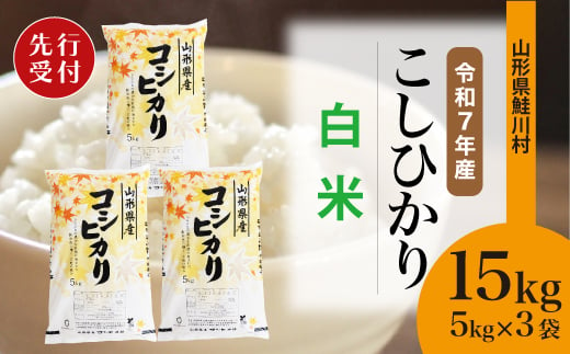 ＜令和7年産米先行受付＞ 鮭川村 コシヒカリ 【白米】 15kg （5kg×3袋）＜配送時期選べます＞ 2003962 - 山形県鮭川村