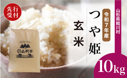 ＜令和7年産米先行受付＞ 鮭川村 特別栽培米 つや姫 【玄米】 10kg （10kg×1袋）＜配送時期選べます＞ 2003981 - 山形県鮭川村