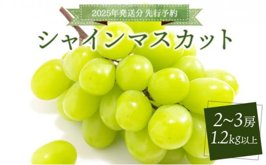 ＜2025年発送分 先行予約＞シャインマスカット 1.2kg以上（2～3房）［025-a021］