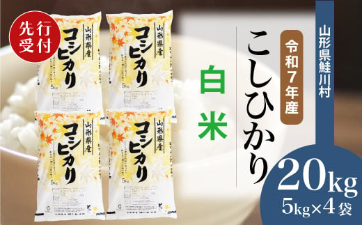 ＜令和7年産米先行受付＞ 鮭川村 コシヒカリ 【白米】 20kg （5kg×4袋）＜配送時期選べます＞ 2003965 - 山形県鮭川村