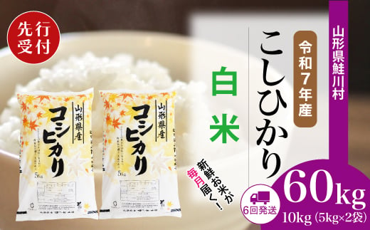 ＜令和7年産米先行受付＞ 鮭川村 コシヒカリ 【白米】 定期便 60kg （10kg×1ヶ月間隔で6回お届け）＜配送時期選べます＞ 2003974 - 山形県鮭川村