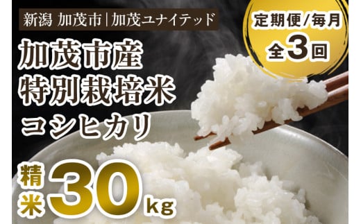 【令和6年産米】【定期便3ヶ月毎月お届け】加茂市産 特別栽培米 コシヒカリ 精米30kg（10kg×3袋） 栽培期間中は化学肥料・農薬不使用 新潟米 お米 白米 こしひかり 加茂ユナイテッド 2002547 - 新潟県加茂市