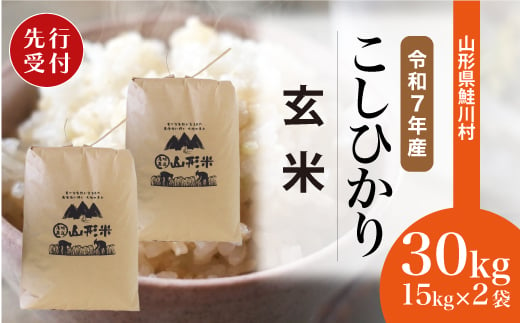 ＜令和7年産米先行受付＞ 鮭川村 コシヒカリ 【玄米】 30kg （15kg×2袋）＜配送時期選べます＞【沖縄県・離島への配送不可】 2003972 - 山形県鮭川村