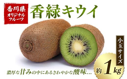 【先行予約】香緑キウイ (小玉サイズ) 約1kg フルーツ 果物 くだもの キウイ 香緑 小玉 デザート キウイフルーツ 食品 名産 四国 1万円 F5J-917