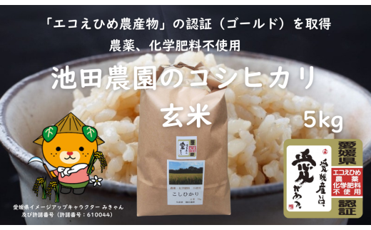 【玄米】 愛媛県産 コシヒカリ 5kg R6年産  | お米 米 ご飯 ごはん 愛媛県 松山市 1984576 - 愛媛県松山市