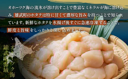 北海道雄武町産ほたて貝柱Bフレーク(冷凍)1kg