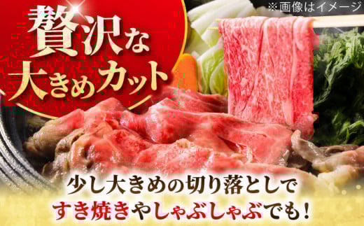 佐賀牛 A5 ランク切り落とし 1kg (200g×5)