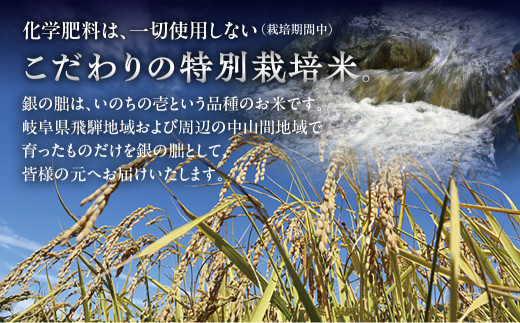写真はイメージです。内容量は異なります。
